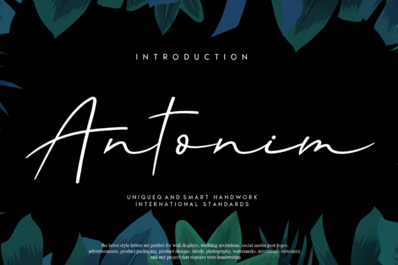 Antonim: The Delicate Handwritten Font for Modern Digital Brands