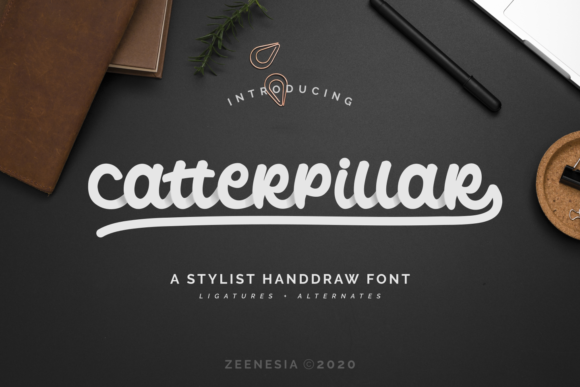 Catterpillar: The Script Handwritten Font for Elegant Web Design
