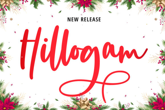 Hillogam: A Delicate Script Handwritten Font for Elegant Branding